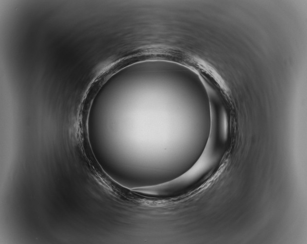 X0000087681164200705111254