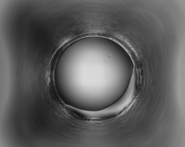 X0000087681165200705111254