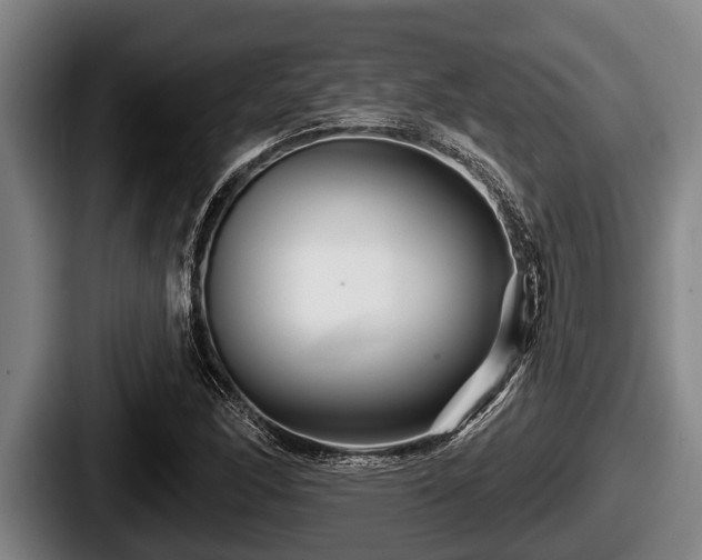 X0000087681166200705111254