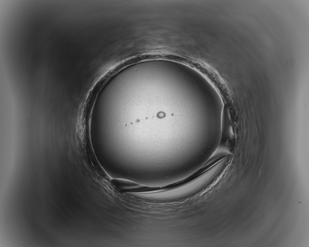 X0000087681167200705111254