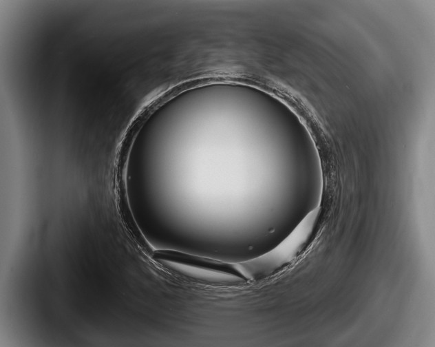 X0000087681168200705111254