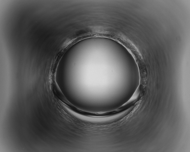 X0000087681169200705111254