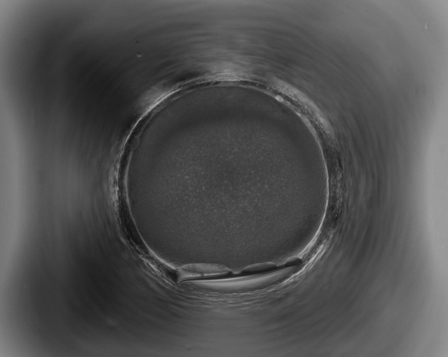 X0000087681170200705111254