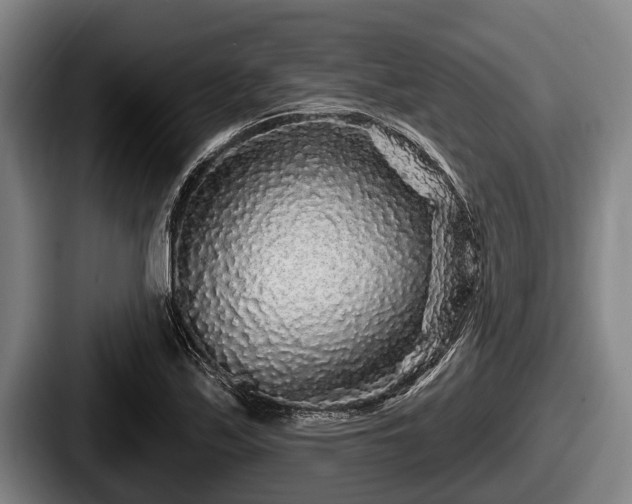 X0000087681171200705111254