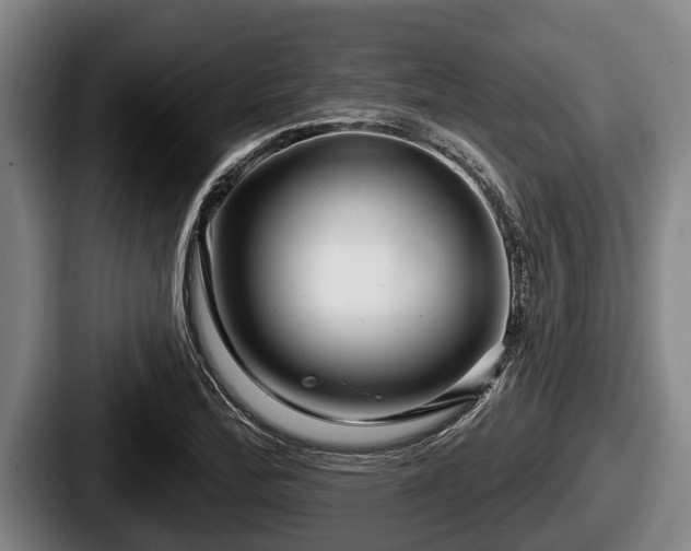 X0000087681172200705111254