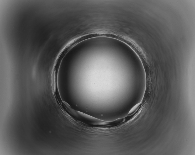 X0000087681175200705111254