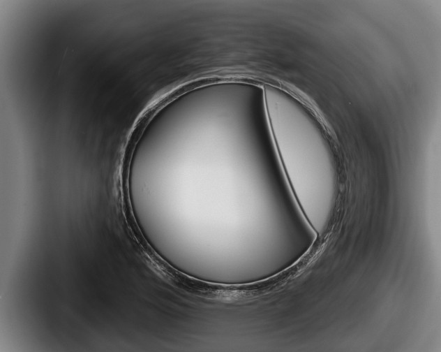 X0000087681176200705111254