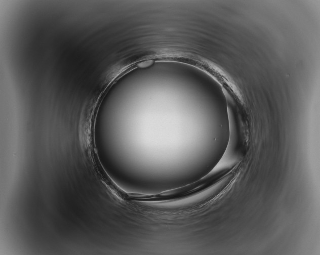 X0000087681177200705111254