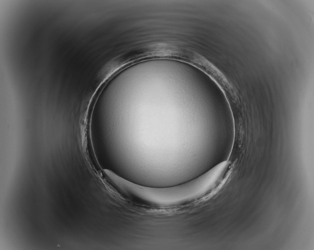 X0000087681178200705111254