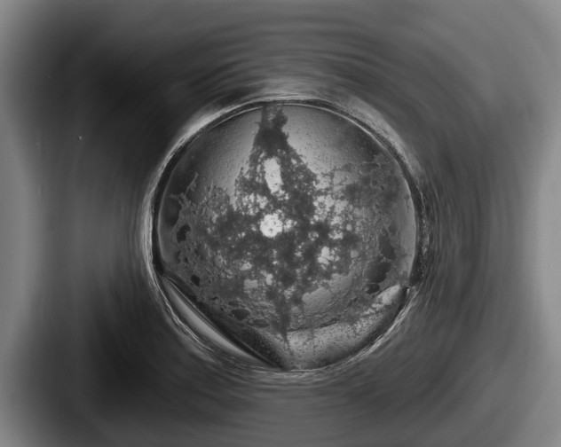 X0000087681179200705111254