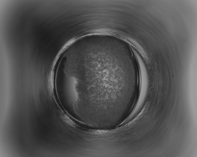 X0000087681180200705111254