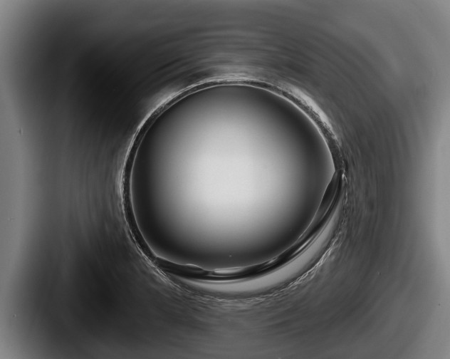 X0000087681181200705111254