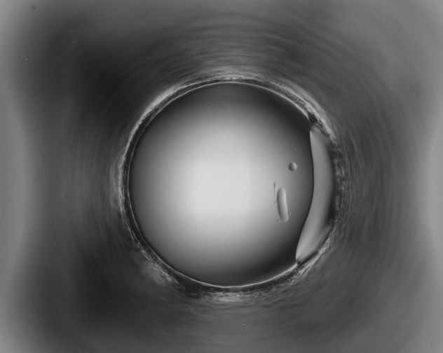 X0000087681182200705111254
