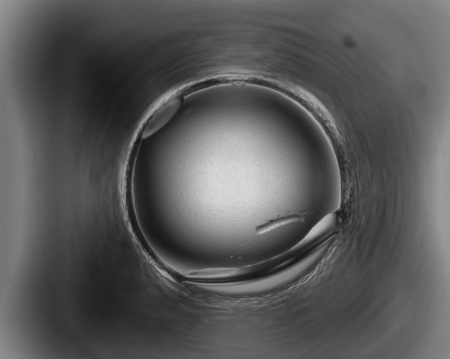 X0000087681183200705111254