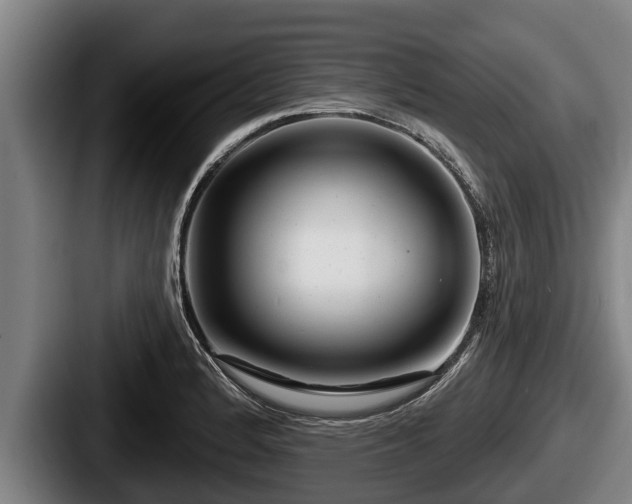 X0000087681184200705111254