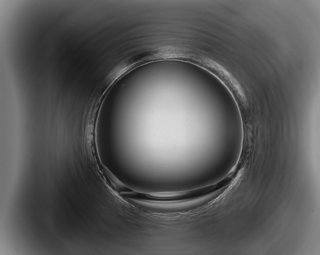 X0000087681185200705111254
