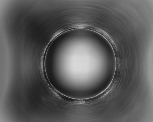 X0000087681186200705111254