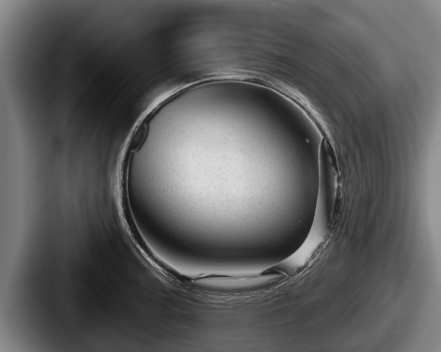 X0000087681187200705111254