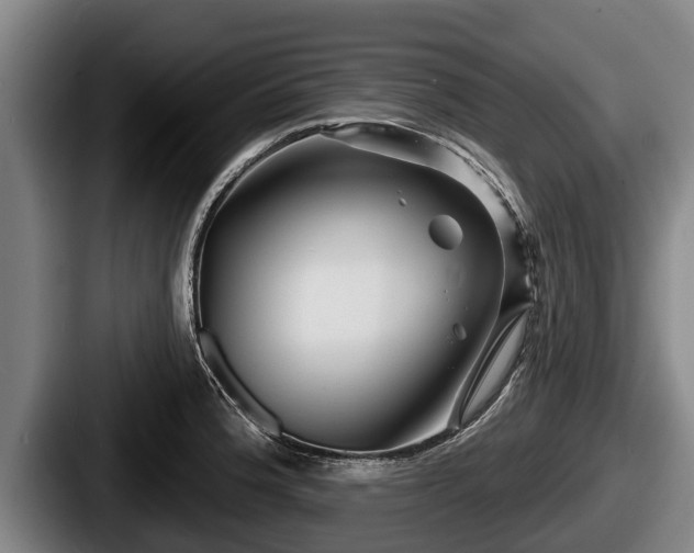 X0000087681188200705111254