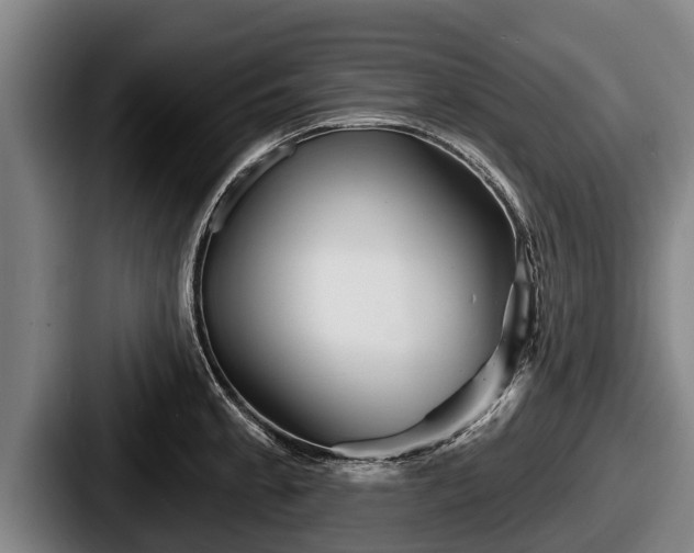 X0000087681189200705111254