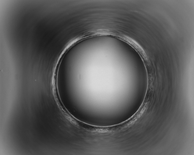 X0000087681190200705111254
