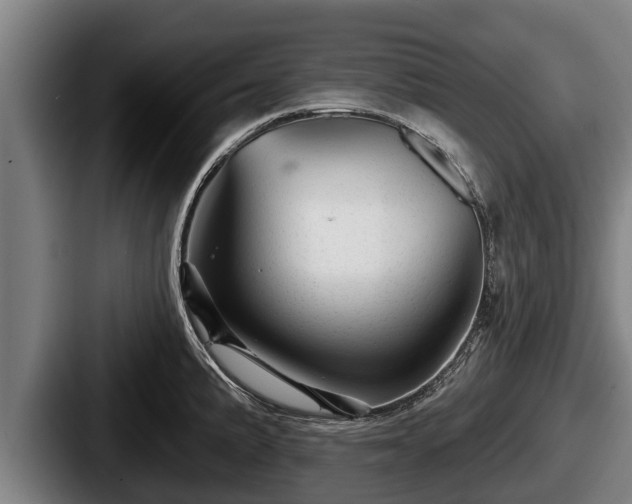 X0000087681191200705111254