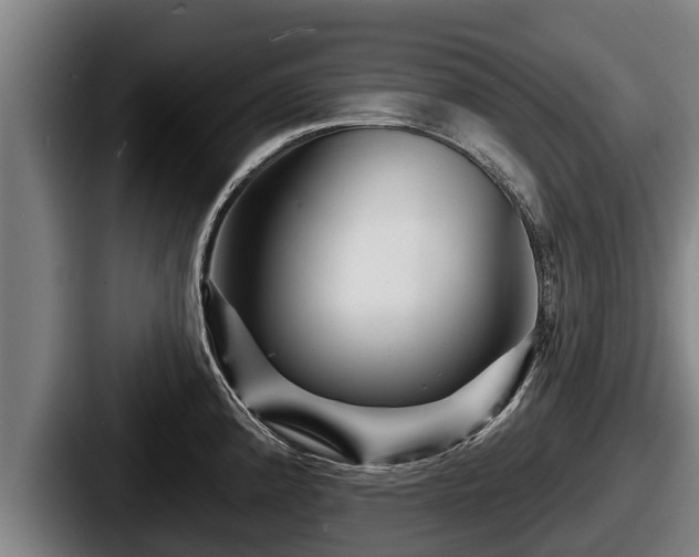 X0000087681192200705111254