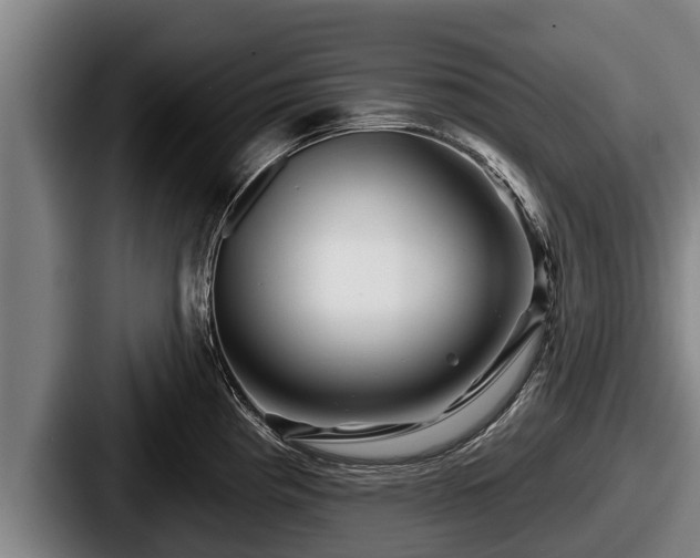 X0000087681193200705111254