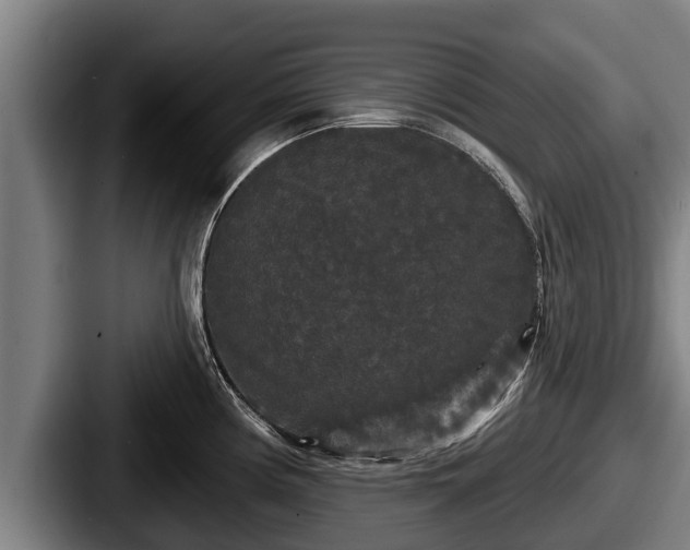 X0000087681194200705111254