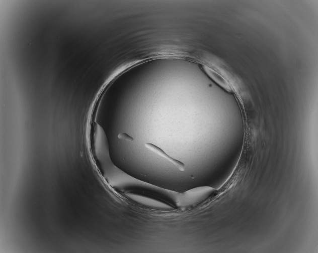 X0000087681195200705111254
