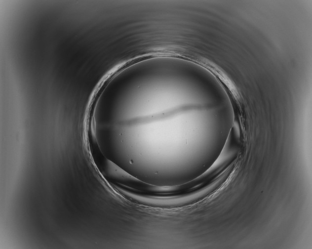 X0000087681196200705111254