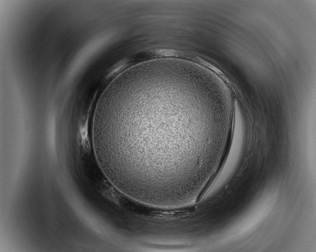 X0000087681198200705111254