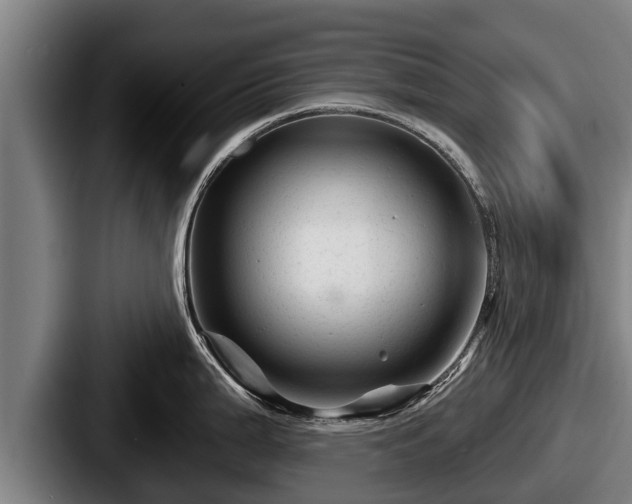 X0000087681199200705111254