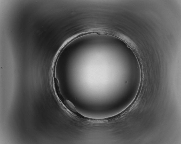X0000087681200200705111254