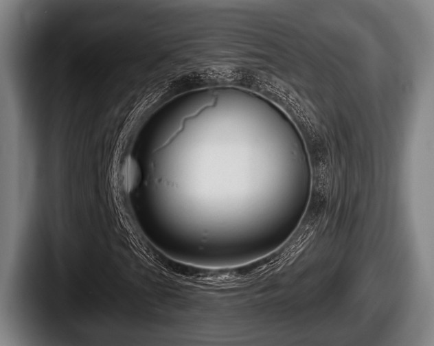 X0000087681201200705111253