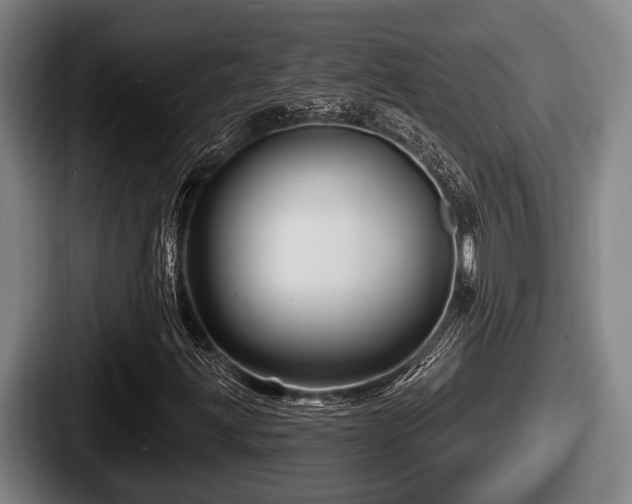 X0000087681203200705111253