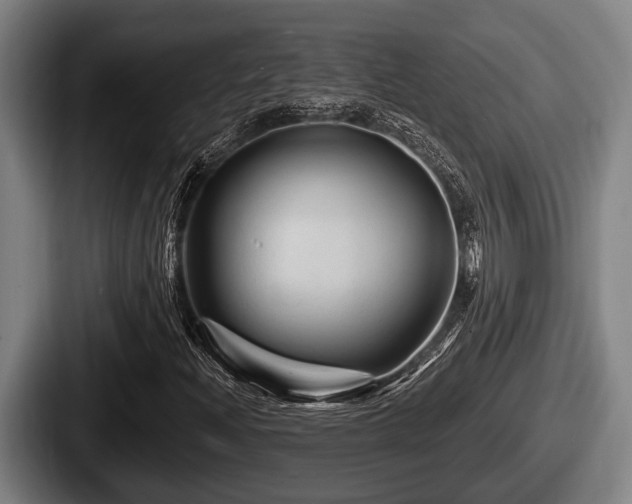 X0000087681204200705111253