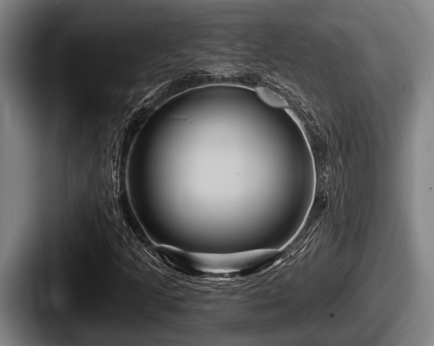 X0000087681205200705111253