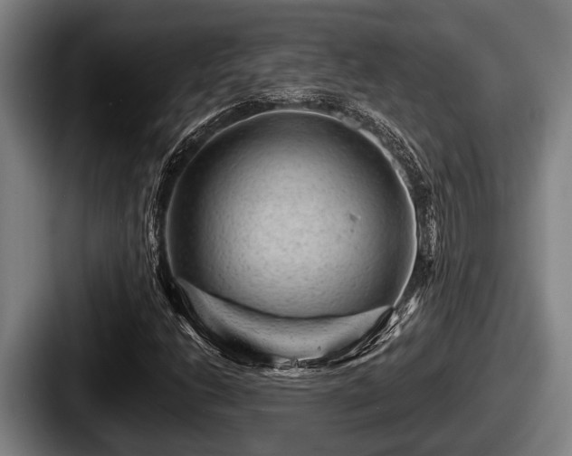X0000087681206200705111253