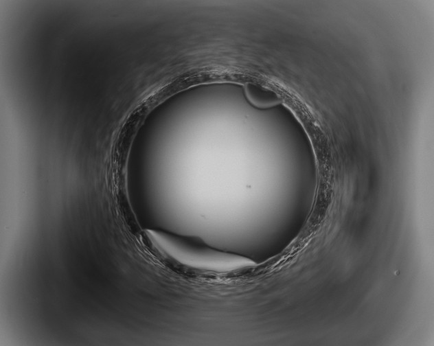 X0000087681207200705111253