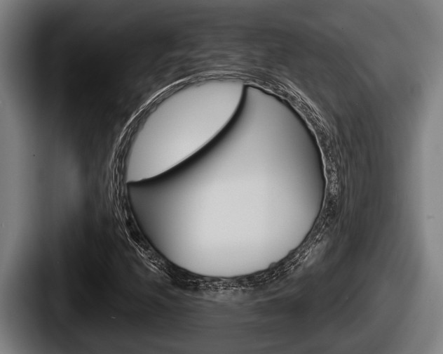 X0000087681208200705111253
