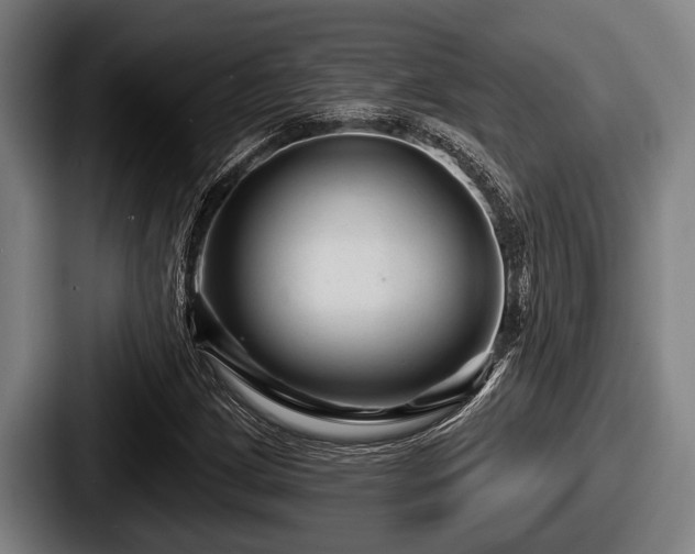 X0000087681209200705111253