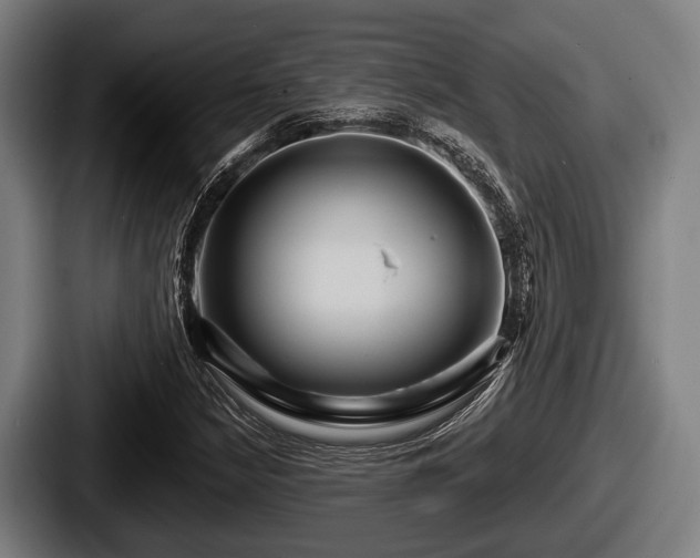 X0000087681210200705111253