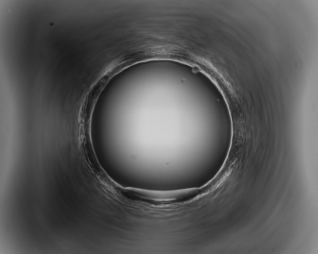 X0000087681211200705111253