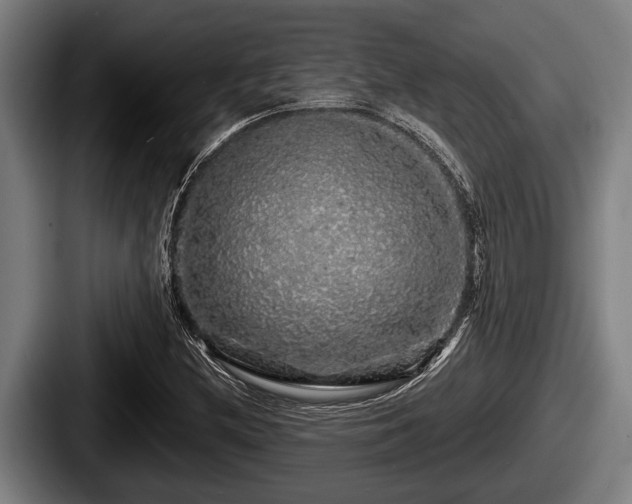X0000087681212200705111253