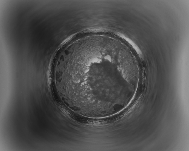 X0000087681213200705111253
