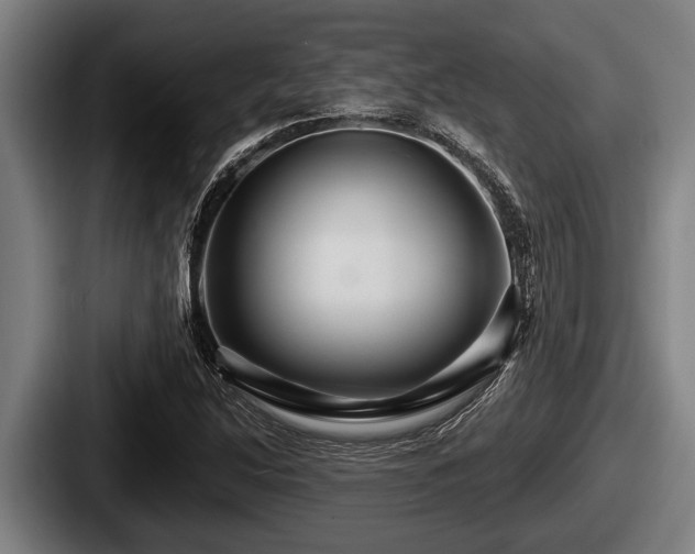 X0000087681214200705111253