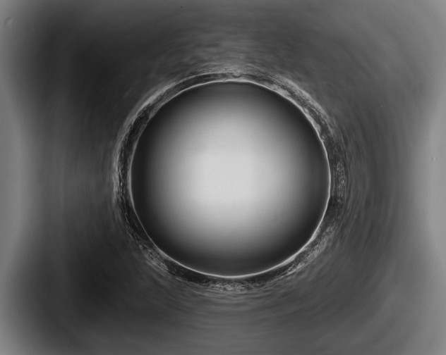 X0000087681215200705111253