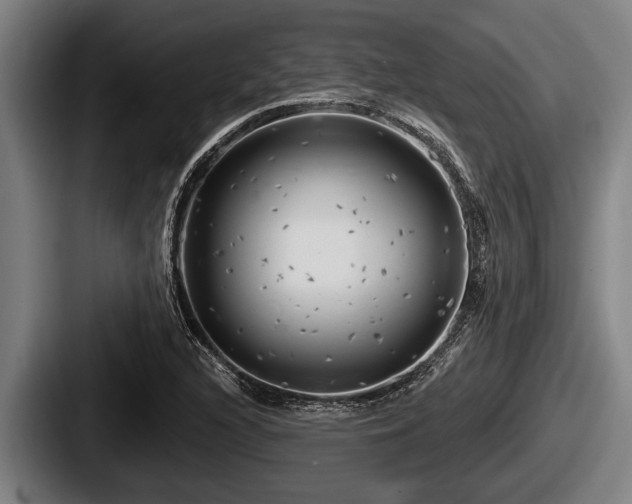X0000087681216200705111253