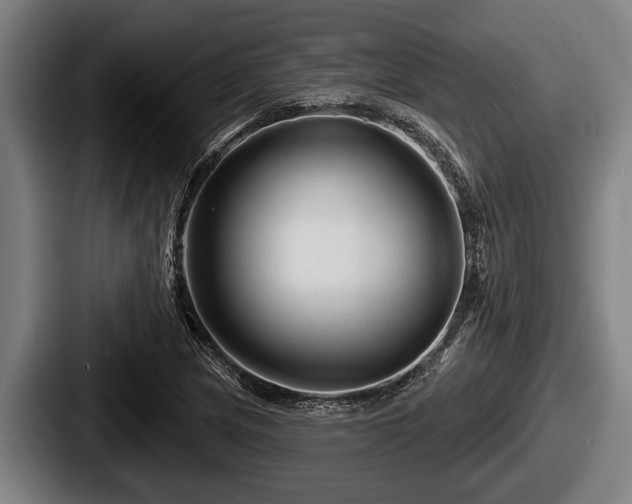 X0000087681217200705111253